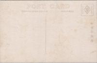 1000066■戦前 絵葉書■沖縄風景　熱帯樹ガジマル★植物