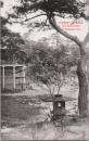 1000080■戦前 絵葉書■香川県 高松石清尾八幡宮境内