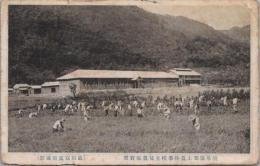 1000085■戦前 絵葉書■岐阜県郡上農林学校生徒農場実習　エンタイア　キズ