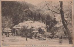 1000091■戦前 絵葉書■岐阜県郡上八幡愛宕公園