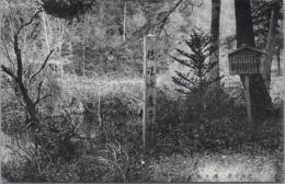 1000099■戦前 絵葉書■岐阜県  中山七里　 孝子池