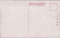 1000101■戦前 絵葉書■岐阜県 下呂温泉名勝　愛宕山頂　全景
