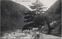1000103■戦前 絵葉書■岐阜県 中山七里　三原トンネルの樅
