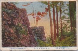 1000106■戦前 絵葉書■岐阜県 郡上名勝 八幡町霞ヶ城趾　エンタイア