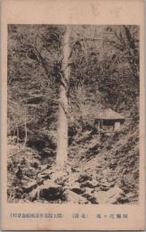 1000107■戦前 絵葉書■岐阜県　阿弥陀ヶ瀧
