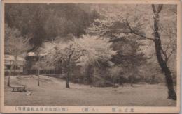 1000109■戦前 絵葉書■岐阜県　愛宕公園　八幡　郡上郡役所落成記念発行