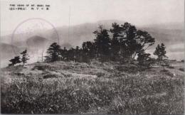 1000138■戦前 絵葉書■滋賀県　近江・伊吹山　杓子の森 記念印