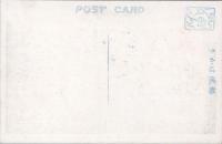 1000227■戦前 絵葉書■福井　官幣中社金崎宮一ノ鳥居全景