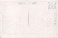 1000229■戦前 絵葉書■官幣社中金崎宮正殿及端垣門