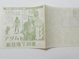 1022◆映画　パンフレット チラシ◆アダムとイヴ 影　27cm×13cm