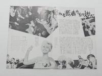 1027◆映画　パンフレット チラシ◆怒れる若者の遊び　ビル・マグノソン クリスティナ・ソリン ハンス・バルゲレン 　26cm×18cm