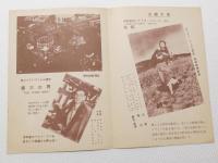 1037◆映画　パンフレット チラシ◆第三の男　英和対訳シナリオ・シリーズ33　25.5cm×18cm