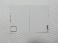 1034■ポストカード■アニメ 遊☆戯☆王