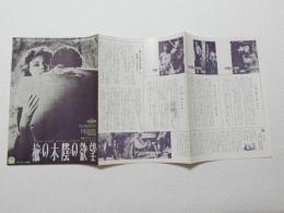 1101◆映画　パンフレット チラシ◆楡の木蔭の欲望　　ソフィア・ローレン　バール・アイヴス　アンソニー・パーキンス 51cm×24cm