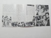 1139◆映画　パンフレット チラシ◆金と女と機関銃　ヴィルナ リージ　サンドラ ミーロ　ジャック セルナス　51.5cm×25.5cm