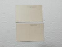 1000273■戦前 絵葉書■岐阜県 鬼岩温泉 2枚