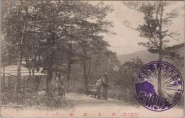 1000281■戦前 絵葉書■岐阜県 美濃中津　妙見紅葉