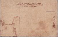 1000284■戦前 絵葉書■岐阜県 美濃恵那静波名木 枝垂栗 シミ