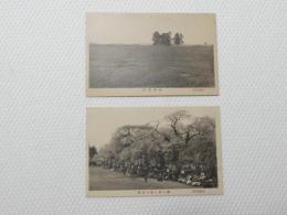 1000306■戦前 絵葉書■1000306■戦前 絵葉書■仙台名所　宮城野原+榴ヶ岡公園の老桜