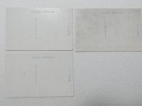 1000309■戦前 絵葉書■金澤兼六園 花見橋 根上り坂　蠑螺山　3枚