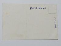 1000324■戦前 絵葉書■伊勢内宮前　旅館大橋館より市街遠望 (路面電車・ちんちん電車)