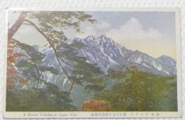 1000333■戦前 絵葉書■日本アルプス 徳本峠より穂高岳遠望