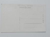 1000339■戦前 絵葉書■松江名所　島根県庁と城山公園