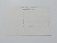 1000340■戦前 絵葉書■松江名所　天神町本通り　（自転車)