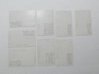 1000347■戦前 絵葉書■花★青島おほたにわたり★はまうど★あをのくまたけらん★ひぎり★びらう★はまおうと★きんぎんなすび★くわずいも★写真版 8枚