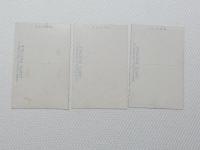 1000355■戦前 絵葉書■信州桟間温泉桑の湯旅館 3枚