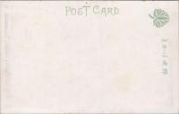 1000377■戦前 絵葉書■福島県　若松市街　　飯盛山記念印　ピン穴