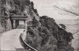 1000425■戦前 絵葉書■静岡県　熱海海岸ドライブウエイ（トンネル)