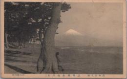 1000429■戦前 絵葉書■静岡県　清水市名所 三保羽衣海岸