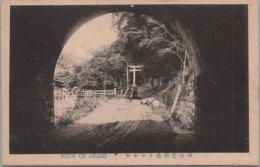 1000431■戦前 絵葉書■静岡県　来の宮神社トンネル（牛車　鳥居)