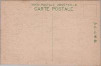 1000437■戦前 絵葉書■静岡 熱海木の宮大楠（巨木 男性)