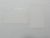 1000452■絵葉書■中山温泉　(旅館　川　橋)　2枚