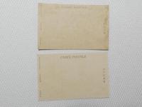 1000461■戦前 絵葉書■大神紀念 2枚