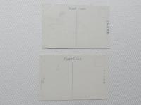 1000469■戦前 絵葉書■平和記念東京博覧会 第二会場 台湾館 建築館 2枚 記念印