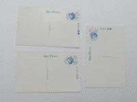 1000476■戦前 絵葉書■岡山後楽園 3枚 (建物 滝　瀧)3枚