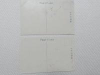 1000478■戦前 絵葉書■平和記念東京博覧会 第一会場 横須館　園藝館 　2枚