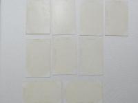 1000479■戦前 絵葉書■日向の青島 熱帯植物　ひぎり　はまなたまめ ばなな くわずいも　おほたにはたり　あをのくまたけらん　はまうご　きんぎんなすび　はまおもご 9枚