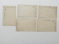 1000489■戦前 絵葉書■別府名所　濱脇温泉 松栄館 地獄 海地獄 濱脇公園 5枚