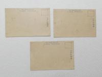 1000491■戦前 絵葉書■伊勢香良洲浦公園 紅葉 松 3枚