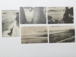 1000505■戦前 絵葉書■神奈川県 江之嶋桟橋よと富士 江之島山上より富士山 稲村ヶ崎より 富士山　5枚