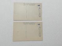 1000506■戦前 絵葉書■松崎名所 仁王嶋 伊勢嶋 2枚