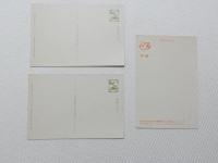 1000518■戦前 絵葉書■アート 画　漁村の正月　藤本東一良　紅雀　上村 ばら 中村研一 3枚