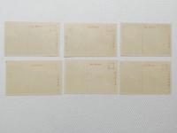 1000520■戦前 絵葉書■奈良大佛殿 若草山　五重塔 三月堂 手向山八幡宮 春日本社楼門 6枚