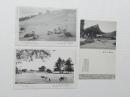 1000521■戦前 絵葉書■青島神社 若草山 飛火野(建物　鹿) 3枚