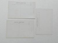 1000521■戦前 絵葉書■青島神社 若草山 飛火野(建物　鹿) 3枚