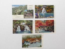 1000526■戦前 絵葉書■赤目渓谷四十八滝 観光の基地 千手滝 紅葉谷公園  荷物滝 厳島神社の社殿 5枚